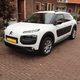 Illustration for article titled Succulent (Cactus) Yes, Citroen Cactus